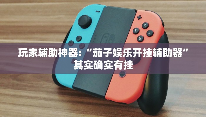 玩家辅助神器:“茄子娱乐开挂辅助器”其实确实有挂