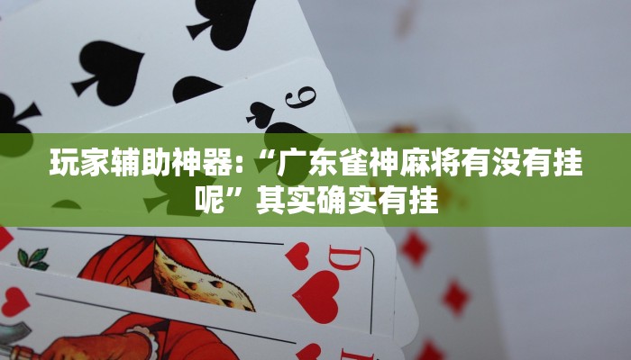 玩家辅助神器:“广东雀神麻将有没有挂呢”其实确实有挂