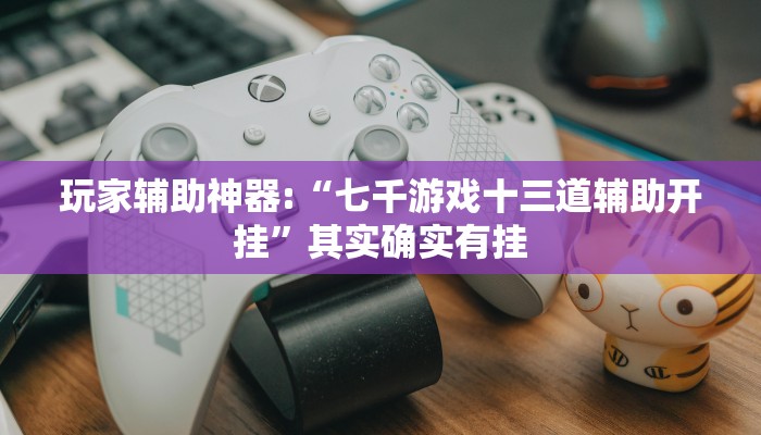 玩家辅助神器:“七千游戏十三道辅助开挂”其实确实有挂