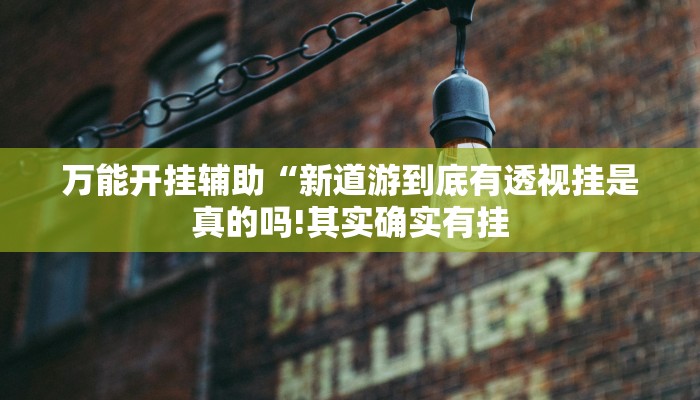 万能开挂辅助“开心十三张开挂方法”详细开挂教程