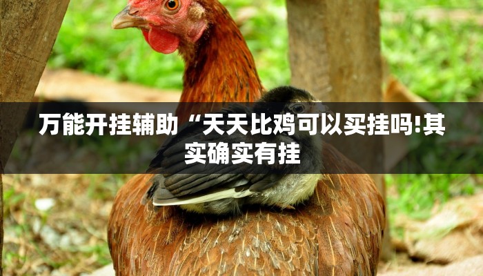 万能开挂辅助“天天比鸡可以买挂吗!其实确实有挂