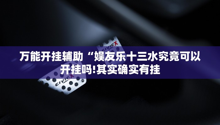 万能开挂辅助“娱友乐十三水究竟可以开挂吗!其实确实有挂