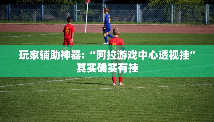 玩家辅助神器:“阿拉游戏中心透视挂”其实确实有挂