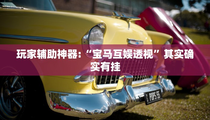玩家辅助神器:“宝马互娱透视”其实确实有挂