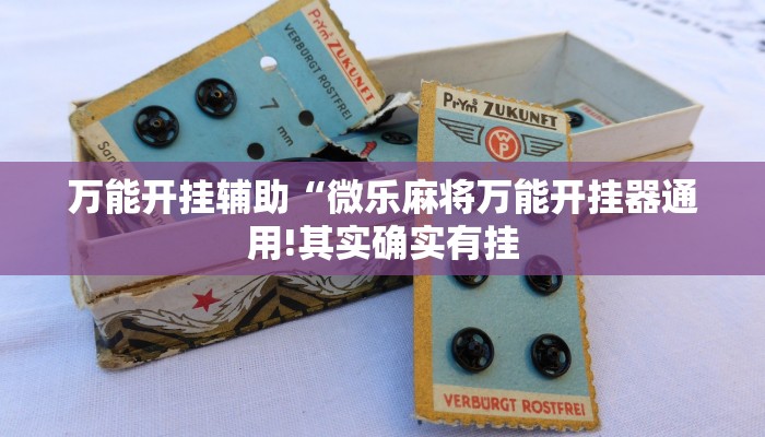 万能开挂辅助“趣玩贵州麻将到底有挂吗”详细开挂教程