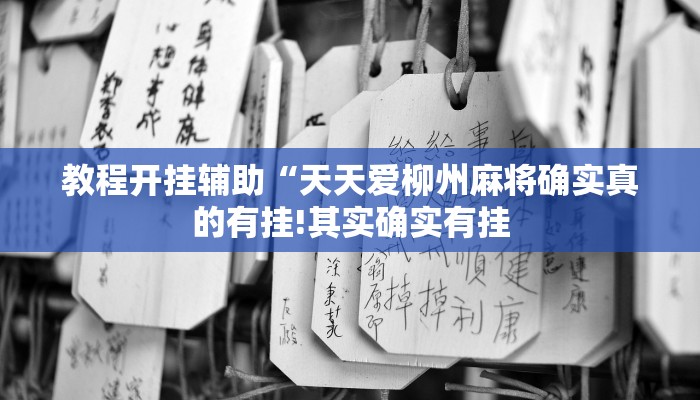 教程开挂辅助“天天爱柳州麻将确实真的有挂!其实确实有挂