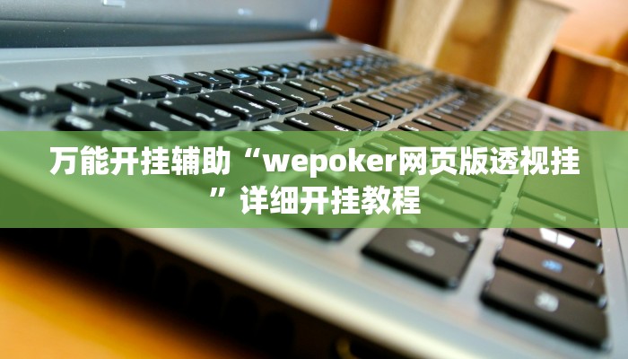 万能开挂辅助“wepoker网页版透视挂”详细开挂教程