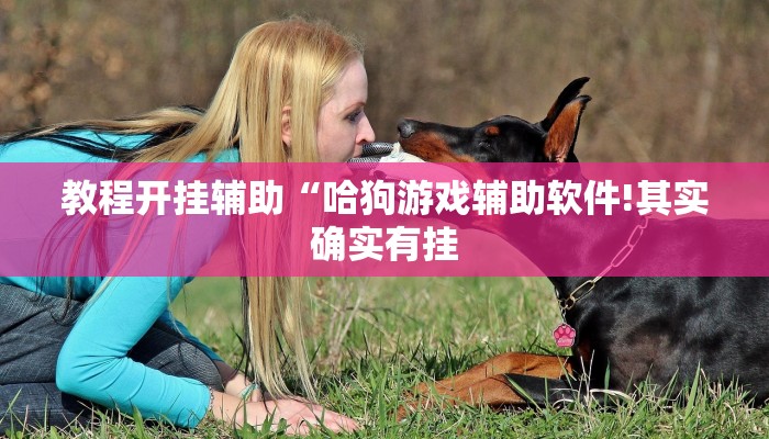 辅助神器“非常竞技可以开挂吗”其实确实有挂