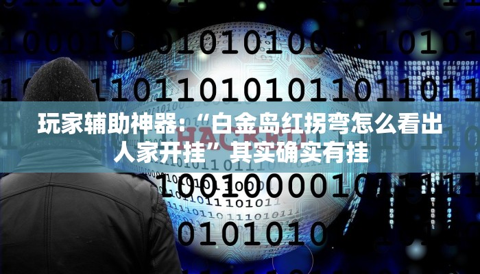 玩家辅助神器:“白金岛红拐弯怎么看出人家开挂”其实确实有挂