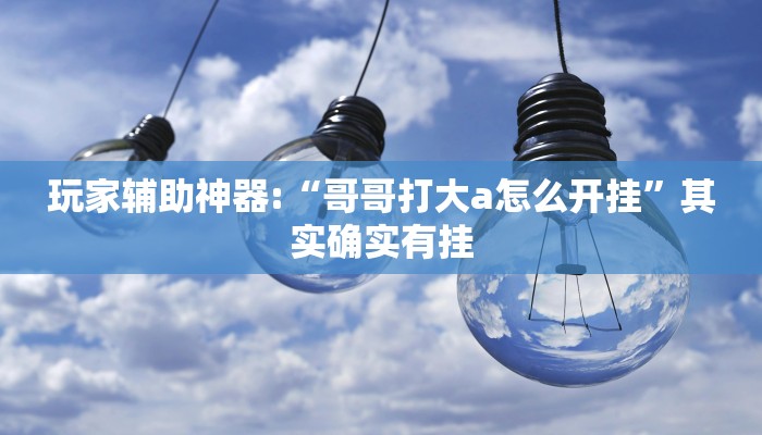 玩家辅助神器:“哥哥打大a怎么开挂”其实确实有挂