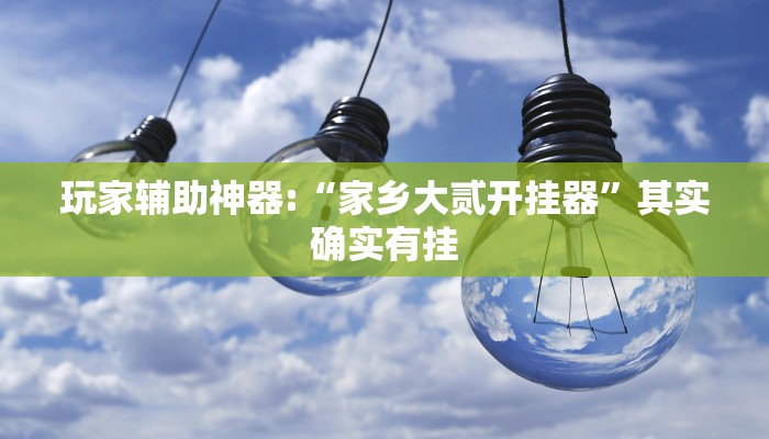 玩家辅助神器:“家乡大贰开挂器”其实确实有挂