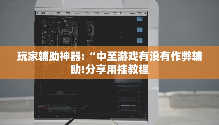 玩家辅助神器:“中至游戏有没有作弊辅助!分享用挂教程