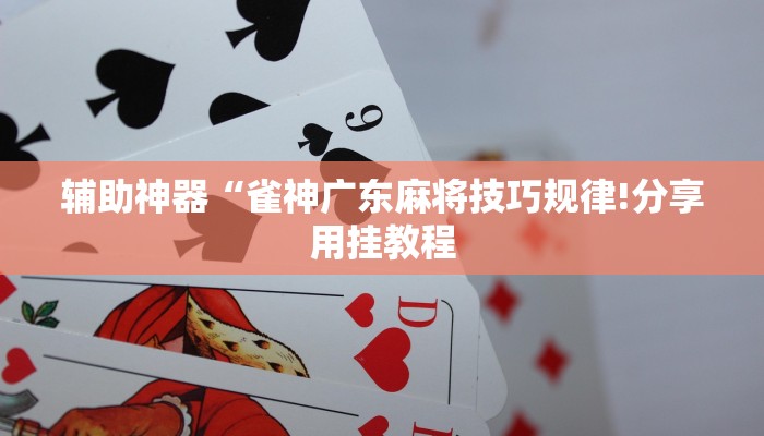 辅助神器“雀神广东麻将技巧规律!分享用挂教程