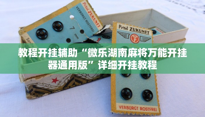 教程开挂辅助“微乐湖南麻将万能开挂器通用版”详细开挂教程