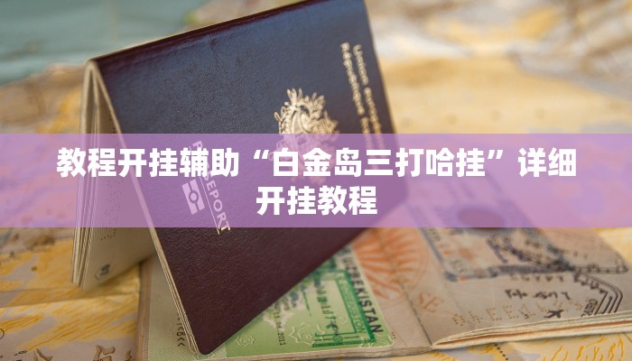 教程开挂辅助“白金岛三打哈挂”详细开挂教程