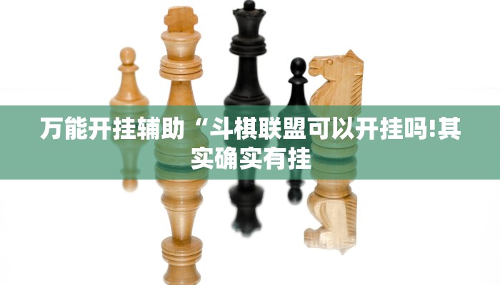 万能开挂辅助“斗棋联盟可以开挂吗!其实确实有挂