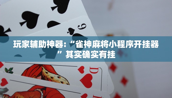 玩家辅助神器:“雀神麻将小程序开挂器”其实确实有挂