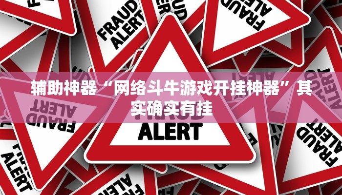 辅助神器“网络斗牛游戏开挂神器”其实确实有挂