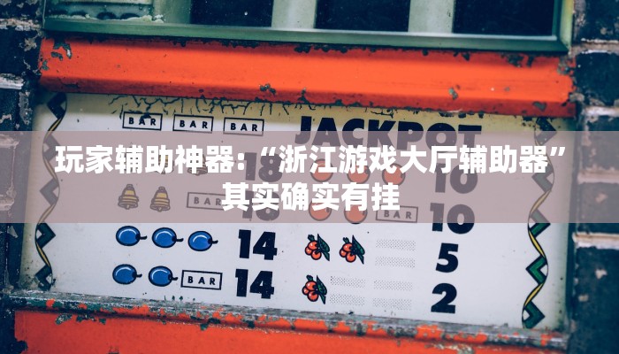 玩家辅助神器:“浙江游戏大厅辅助器”其实确实有挂