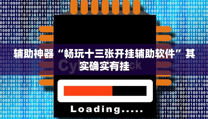 辅助神器“畅玩十三张开挂辅助软件”其实确实有挂