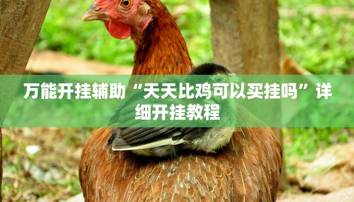 万能开挂辅助“新九神大厅透视挂是真的吗”详细开挂教程