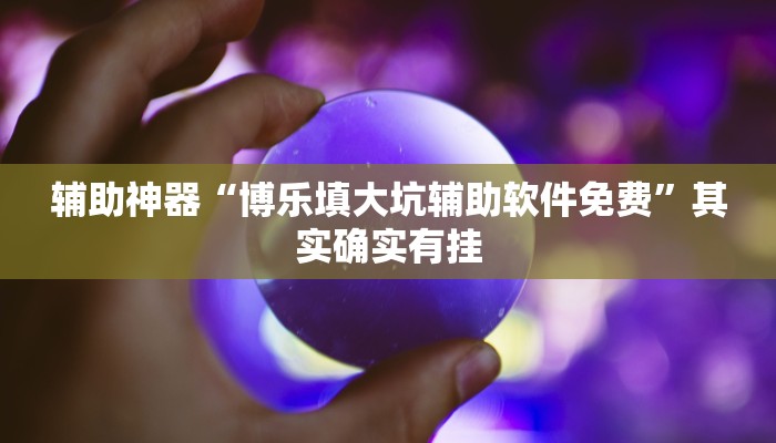 辅助神器“博乐填大坑辅助软件免费”其实确实有挂