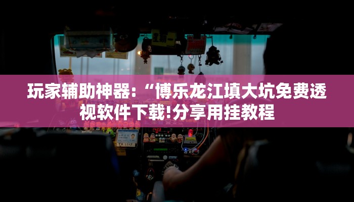 玩家辅助神器:“博乐龙江填大坑免费透视软件下载!分享用挂教程