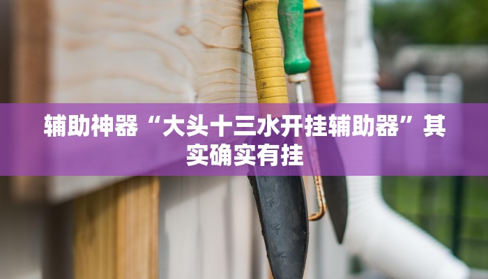 辅助神器“大头十三水开挂辅助器”其实确实有挂