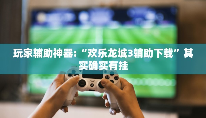 玩家辅助神器:“欢乐龙城3辅助下载”其实确实有挂