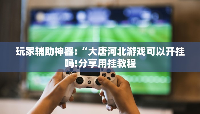 玩家辅助神器:“大唐河北游戏可以开挂吗!分享用挂教程