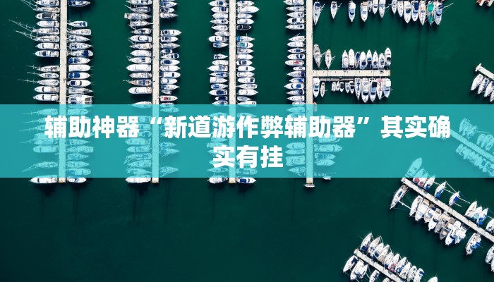 辅助神器“新道游作弊辅助器”其实确实有挂
