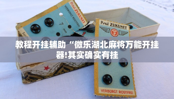 教程开挂辅助“微乐湖北麻将万能开挂器!其实确实有挂