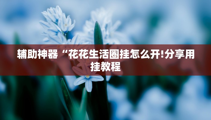 辅助神器“花花生活圈挂怎么开!分享用挂教程