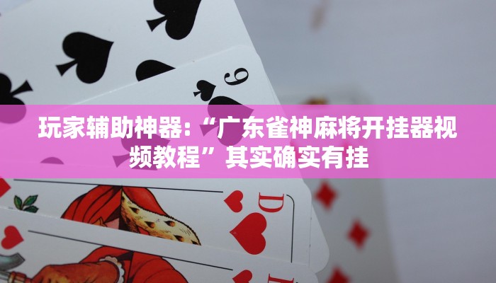 玩家辅助神器:“广东雀神麻将开挂器视频教程”其实确实有挂
