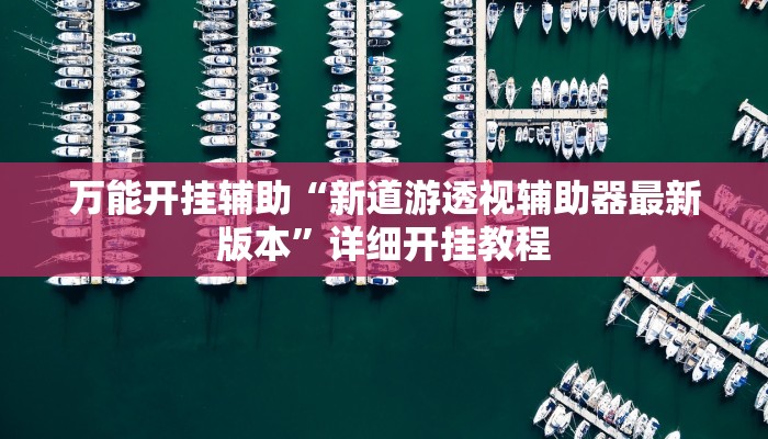 万能开挂辅助“新道游透视辅助器最新版本”详细开挂教程