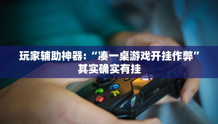 玩家辅助神器:“凑一桌游戏开挂作弊”其实确实有挂