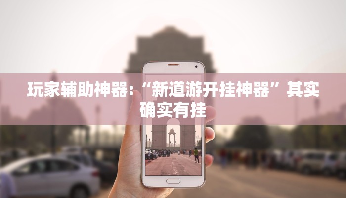 玩家辅助神器:“新道游开挂神器”其实确实有挂