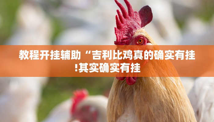 教程开挂辅助“吉利比鸡真的确实有挂!其实确实有挂