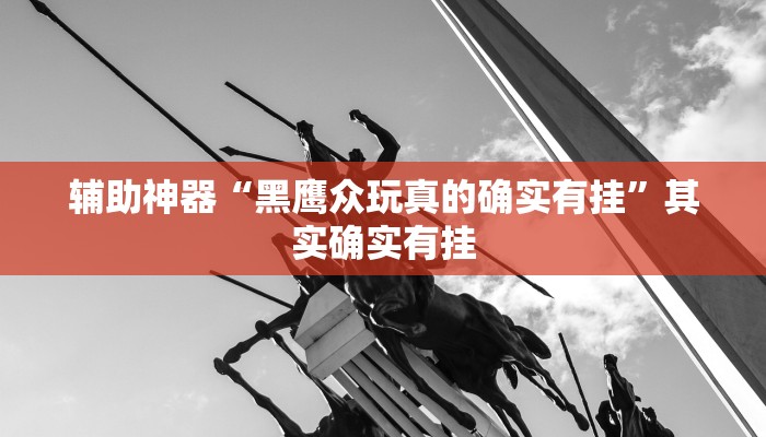 辅助神器“黑鹰众玩真的确实有挂”其实确实有挂