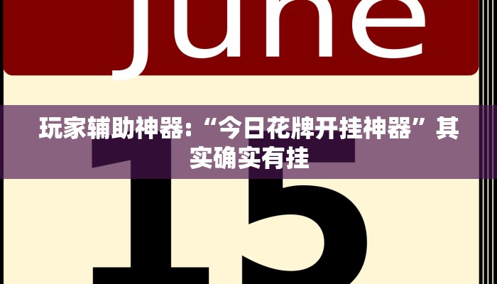 玩家辅助神器:“今日花牌开挂神器”其实确实有挂