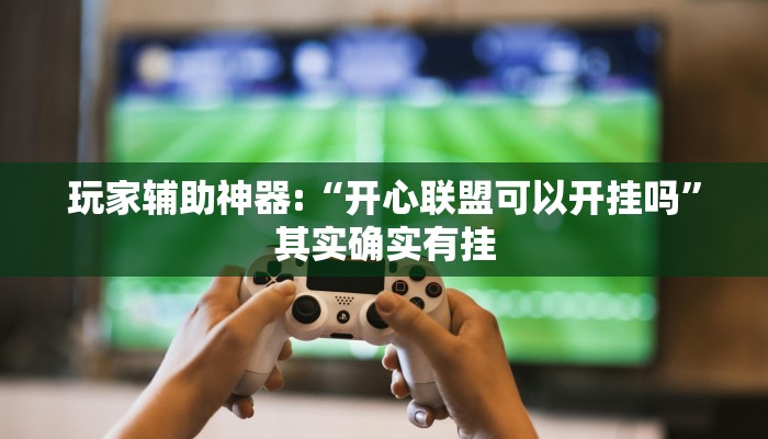 玩家辅助神器:“开心联盟可以开挂吗”其实确实有挂