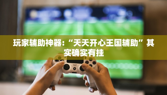 玩家辅助神器:“天天开心王国辅助”其实确实有挂