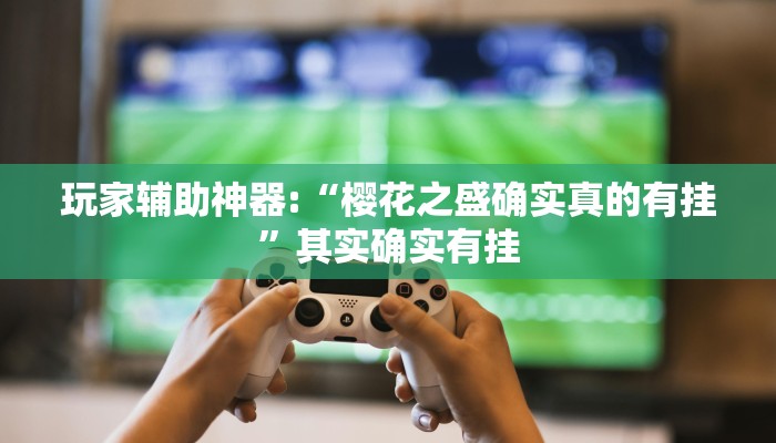 玩家辅助神器:“樱花之盛确实真的有挂”其实确实有挂