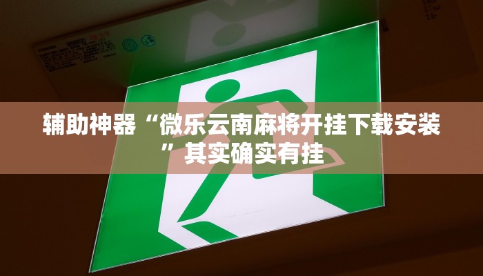辅助神器“微乐云南麻将开挂下载安装”其实确实有挂