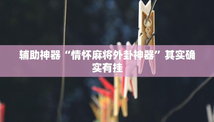 辅助神器“情怀麻将外卦神器”其实确实有挂