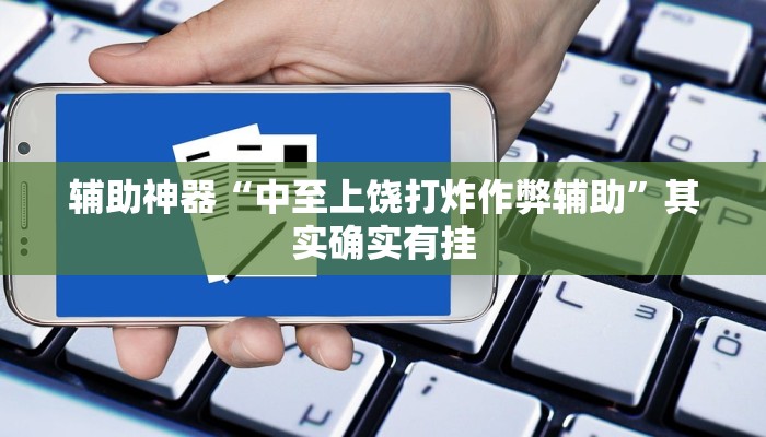 辅助神器“中至上饶打炸作弊辅助”其实确实有挂