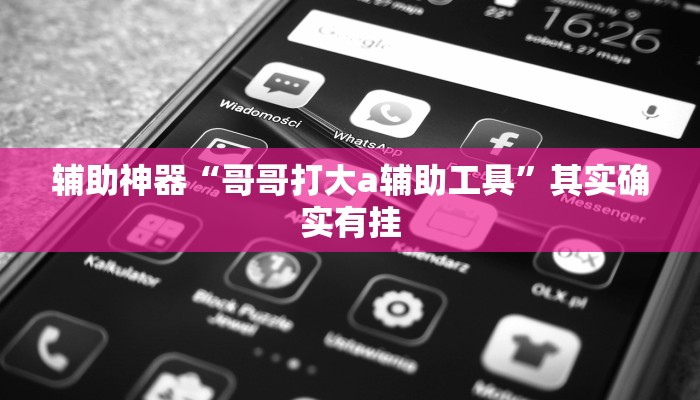 辅助神器“哥哥打大a辅助工具”其实确实有挂