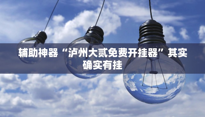 辅助神器“泸州大贰免费开挂器”其实确实有挂