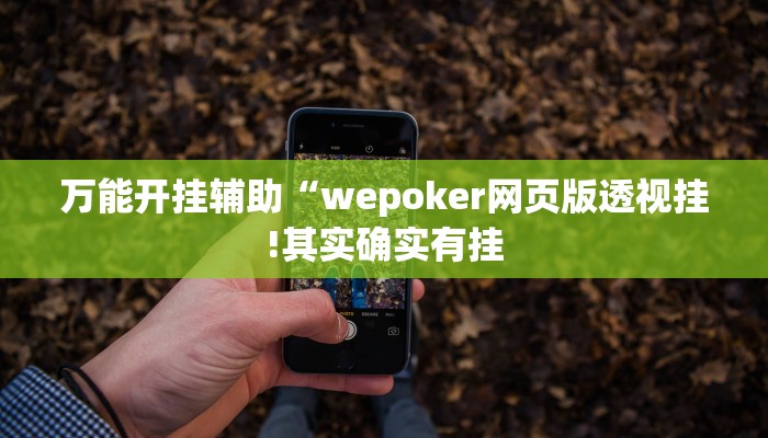 万能开挂辅助“wepoker网页版透视挂!其实确实有挂