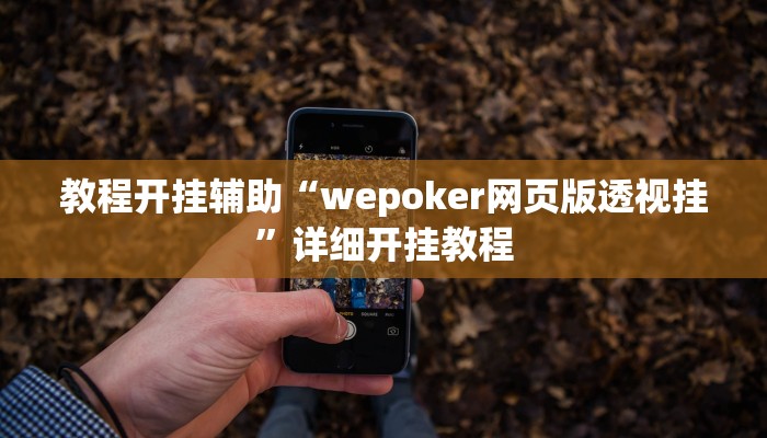 教程开挂辅助“wepoker网页版透视挂”详细开挂教程